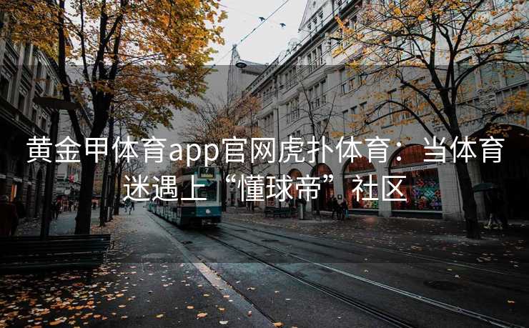 黄金甲体育app官网虎扑体育：当体育迷遇上“懂球帝”社区