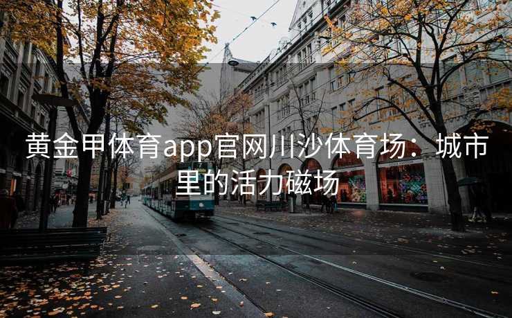 黄金甲体育app官网川沙体育场：城市里的活力磁场