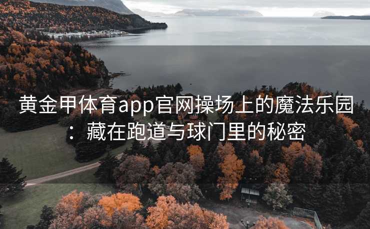 黄金甲体育app官网操场上的魔法乐园：藏在跑道与球门里的秘密
