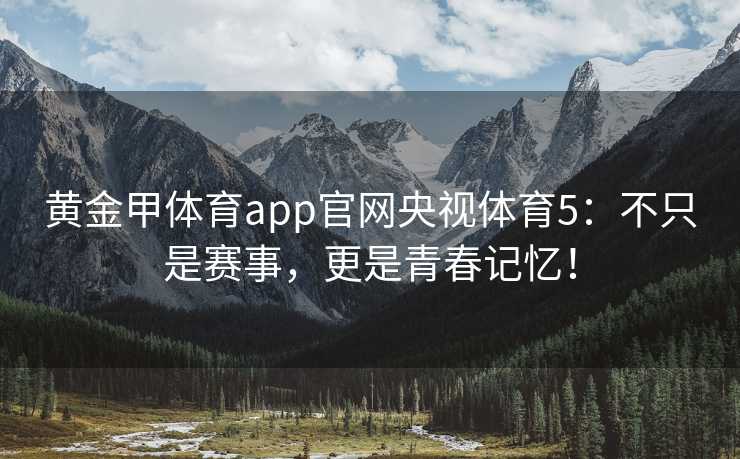 黄金甲体育app官网央视体育5：不只是赛事，更是青春记忆！