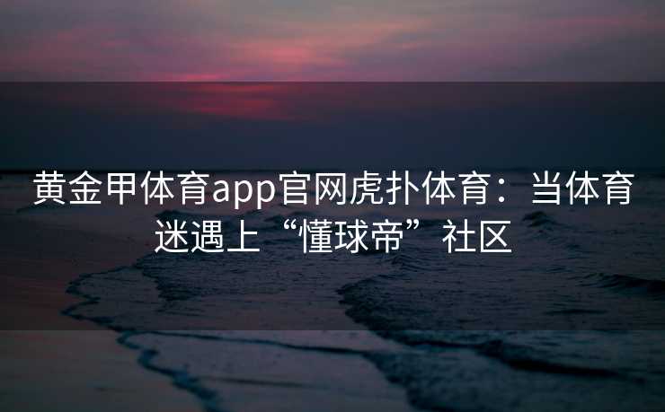 黄金甲体育app官网虎扑体育：当体育迷遇上“懂球帝”社区