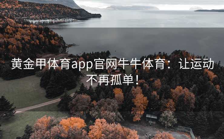 黄金甲体育app官网牛牛体育：让运动不再孤单！