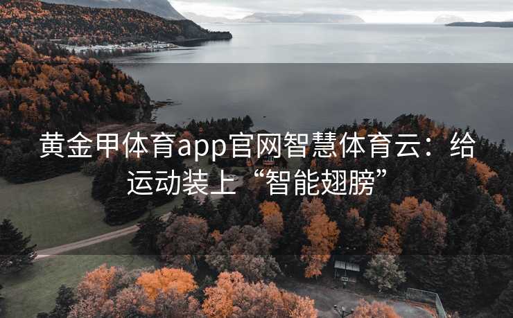 黄金甲体育app官网智慧体育云：给运动装上“智能翅膀”