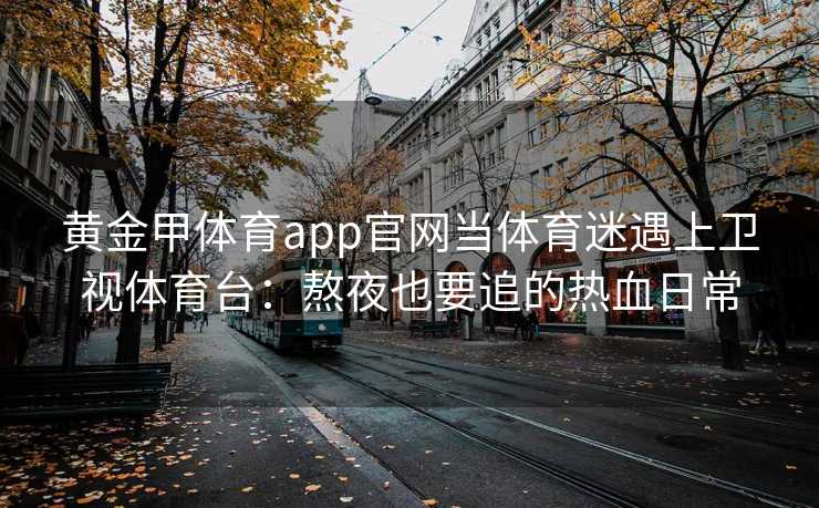 黄金甲体育app官网当体育迷遇上卫视体育台：熬夜也要追的热血日常