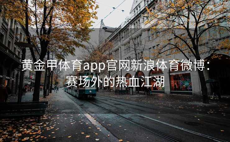 黄金甲体育app官网新浪体育微博：赛场外的热血江湖