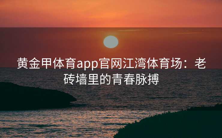 黄金甲体育app官网江湾体育场：老砖墙里的青春脉搏
