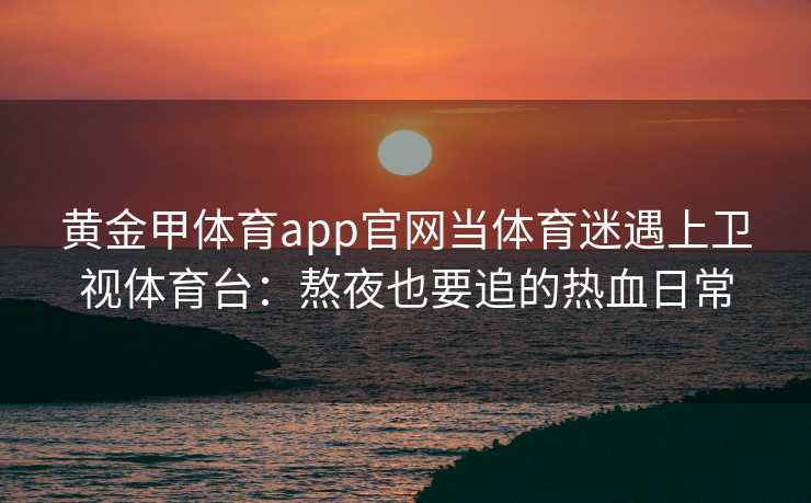 黄金甲体育app官网当体育迷遇上卫视体育台：熬夜也要追的热血日常