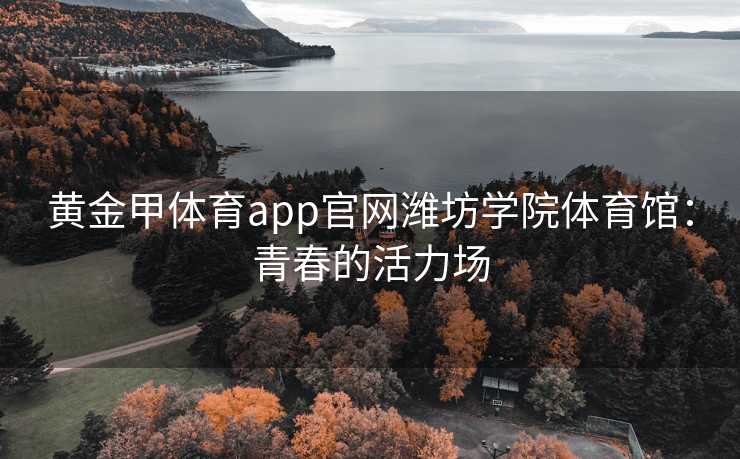 黄金甲体育app官网潍坊学院体育馆：青春的活力场