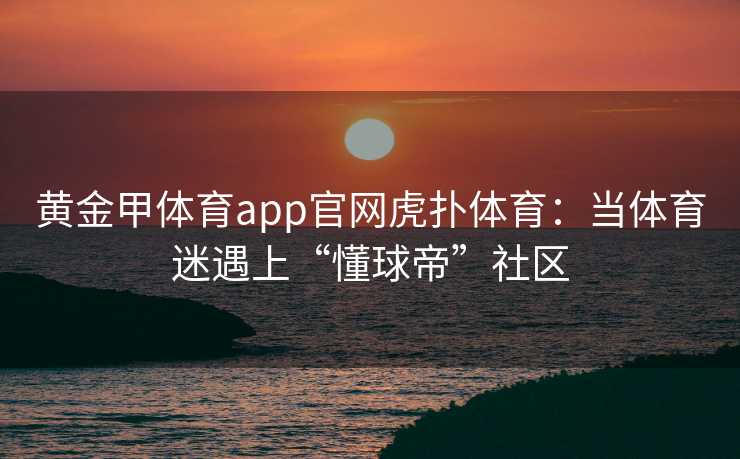 黄金甲体育app官网虎扑体育：当体育迷遇上“懂球帝”社区