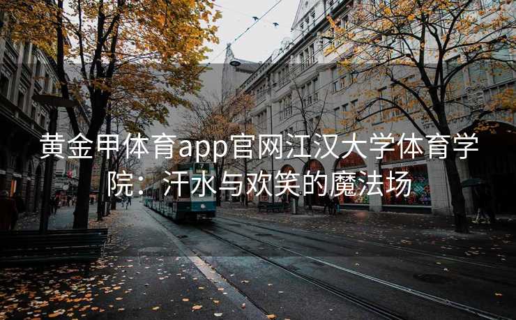 黄金甲体育app官网江汉大学体育学院：汗水与欢笑的魔法场