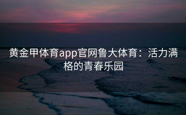 黄金甲体育app官网鲁大体育：活力满格的青春乐园