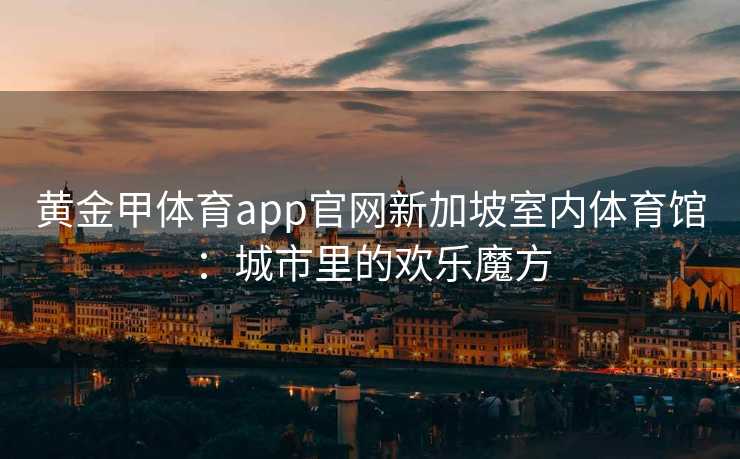 黄金甲体育app官网新加坡室内体育馆：城市里的欢乐魔方