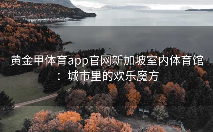 黄金甲体育app官网新加坡室内体育馆：城市里的欢乐魔方