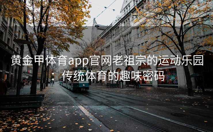 黄金甲体育app官网老祖宗的运动乐园：传统体育的趣味密码
