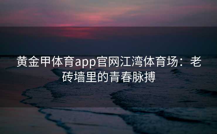 黄金甲体育app官网江湾体育场：老砖墙里的青春脉搏